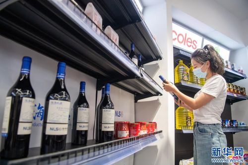 西部陆海新通道 打通经济大动脉，商品零售贸易跑出加速度